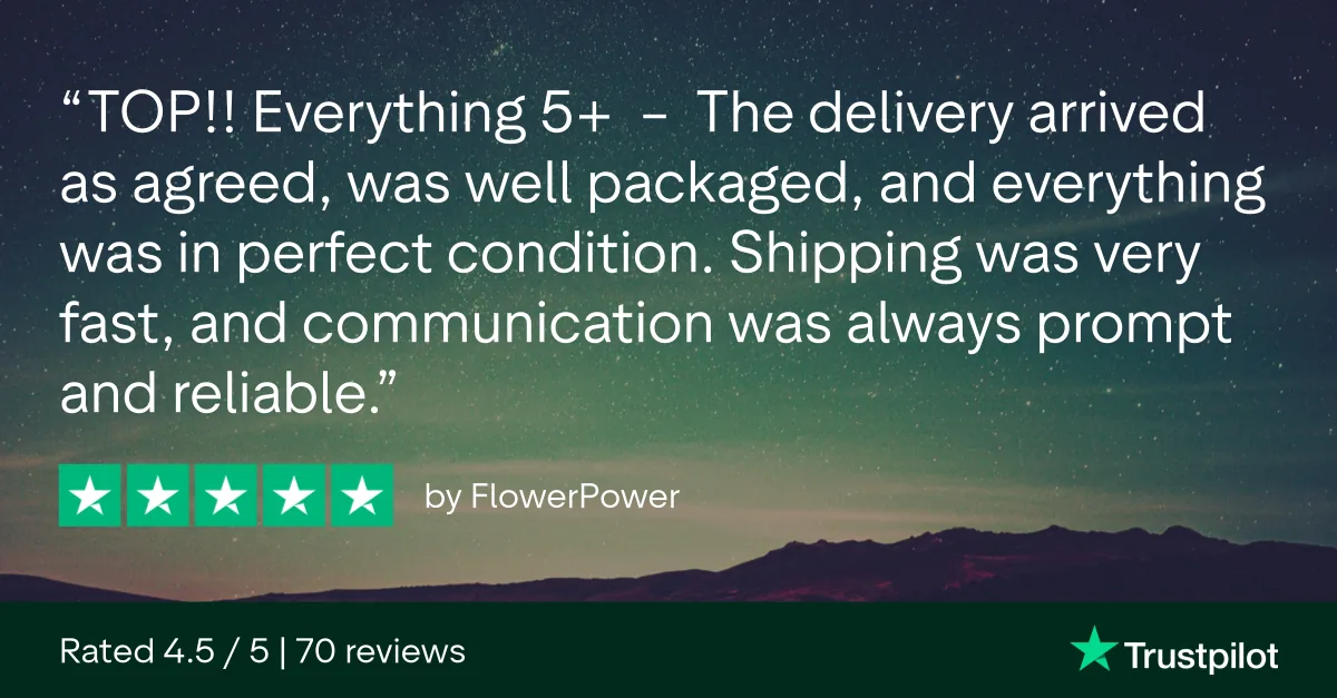 5 em 5 estrelas: «TOP!! Everything 5+»